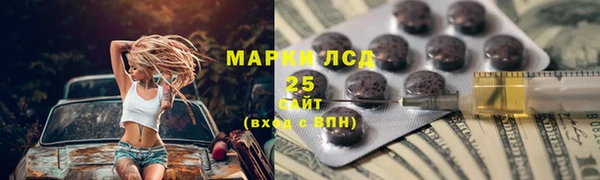 ПСИЛОЦИБИНОВЫЕ ГРИБЫ Ладушкин