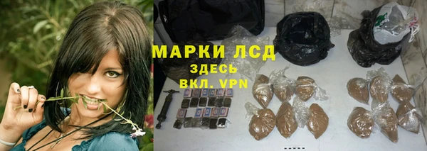 ПСИЛОЦИБИНОВЫЕ ГРИБЫ Ладушкин
