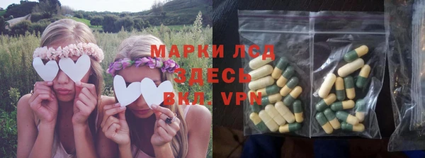 ПСИЛОЦИБИНОВЫЕ ГРИБЫ Ладушкин
