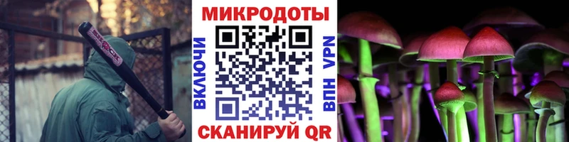 Галлюциногенные грибы MAGIC MUSHROOMS  Чаплыгин 