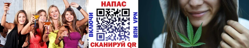 Бошки Шишки SATIVA & INDICA  купить наркотик  Чаплыгин 
